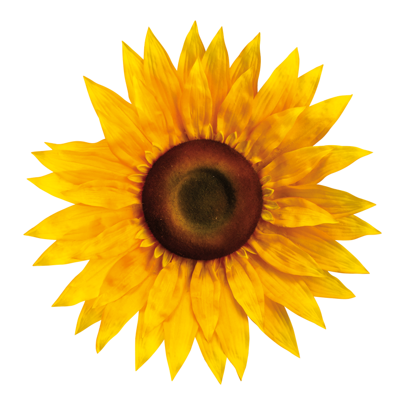 Solros Ø50cm gul/brun