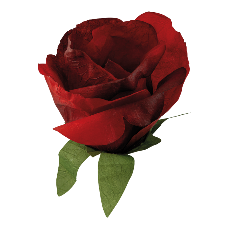 Roshuvud Ø30cm röd