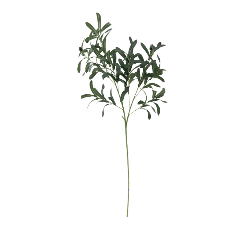 Olivkvist 100cm