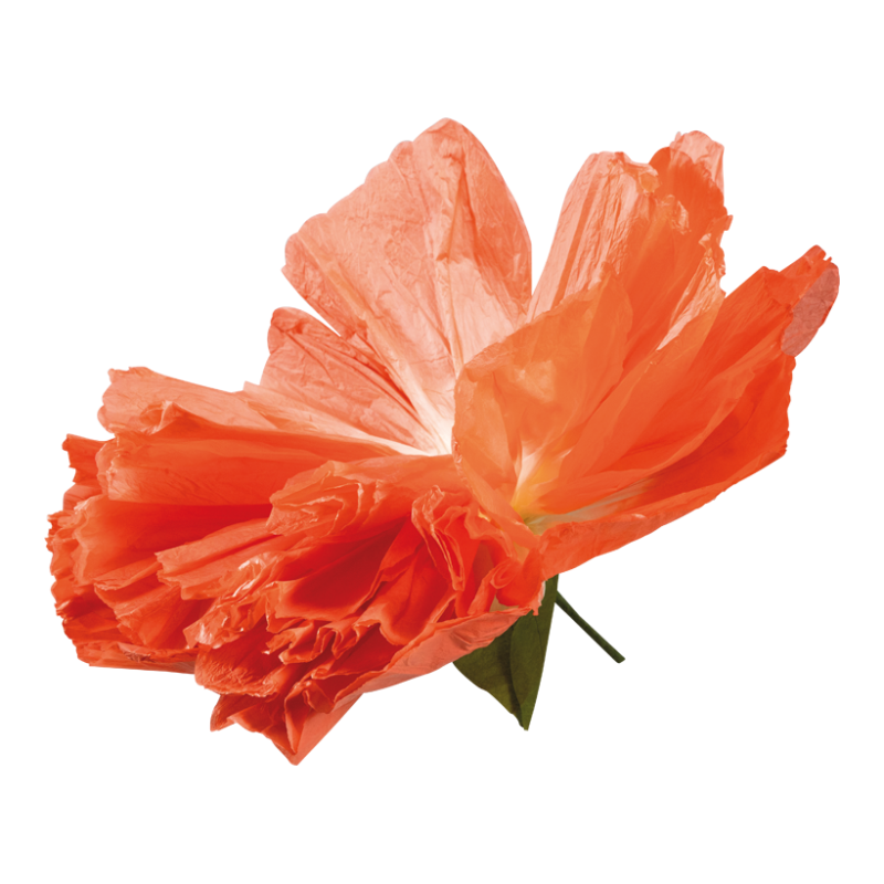 Blomhuvud Ø60 cm Korall