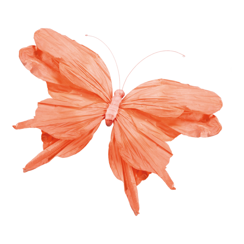 Fjäril 97x70cm Korall