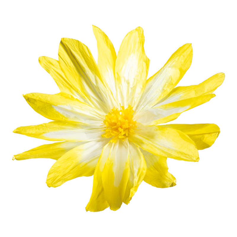 Blomhuvud Ø120 cm Gul