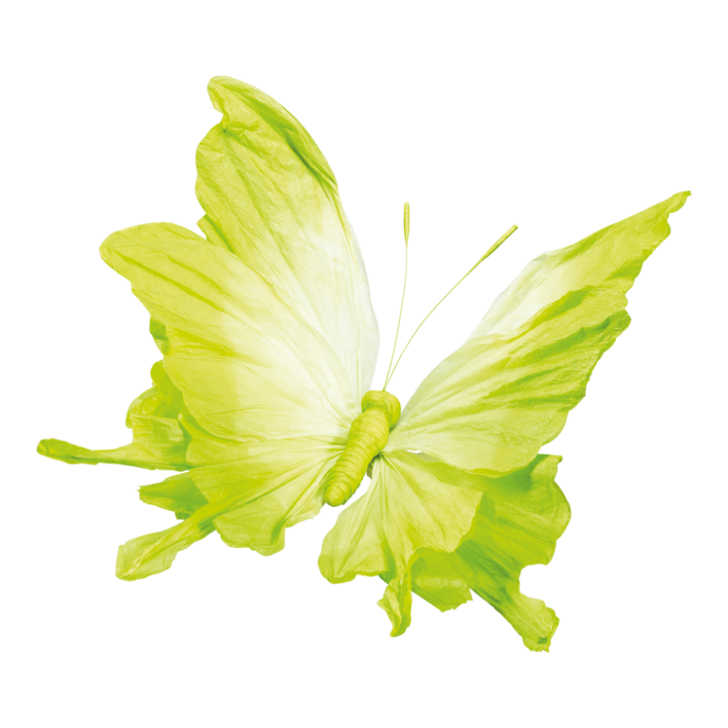 Butterfly 120x70cm green/white