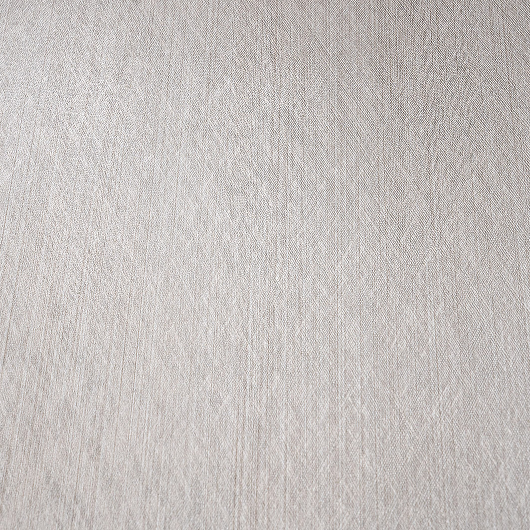 CoverStyl NE51 Champagne Silver