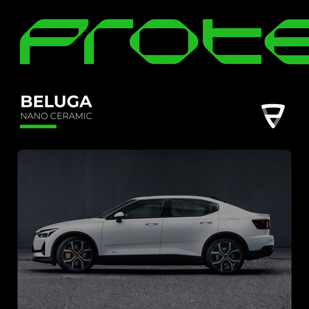 Protector Beluga