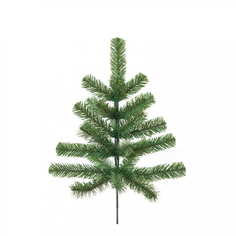 Ädelgranskvist, 60cm