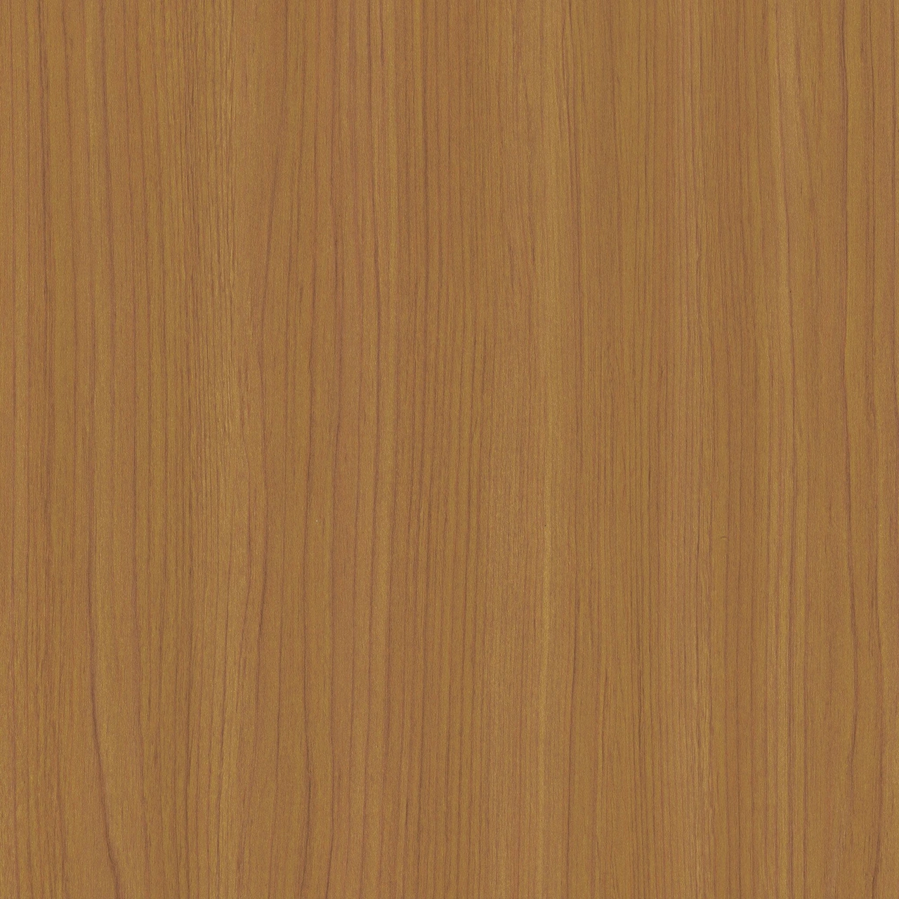 CoverStyl B1 Honey Maple