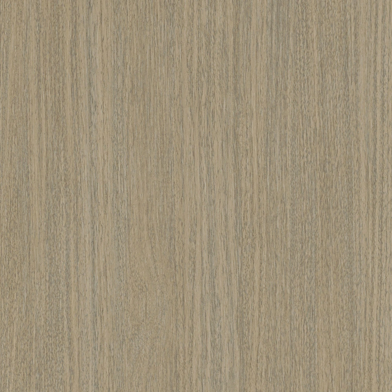 CoverStyl NH77 Camel Eucalyptus