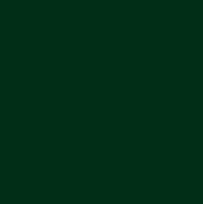 3M™ Scotchcal™ 100-008 Fir Tree Green