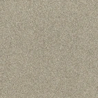 CoverStyl R17 Butter Disco