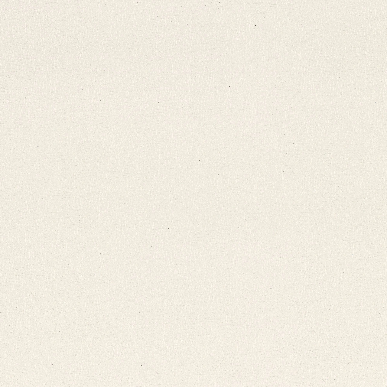 CoverStyl X52 Lozenge white