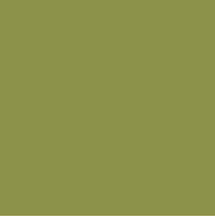 3M™ Scotchcal™ 100-2448 Pistachio Metallic