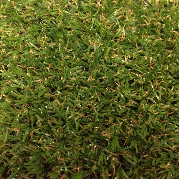 Artificial grass, Park