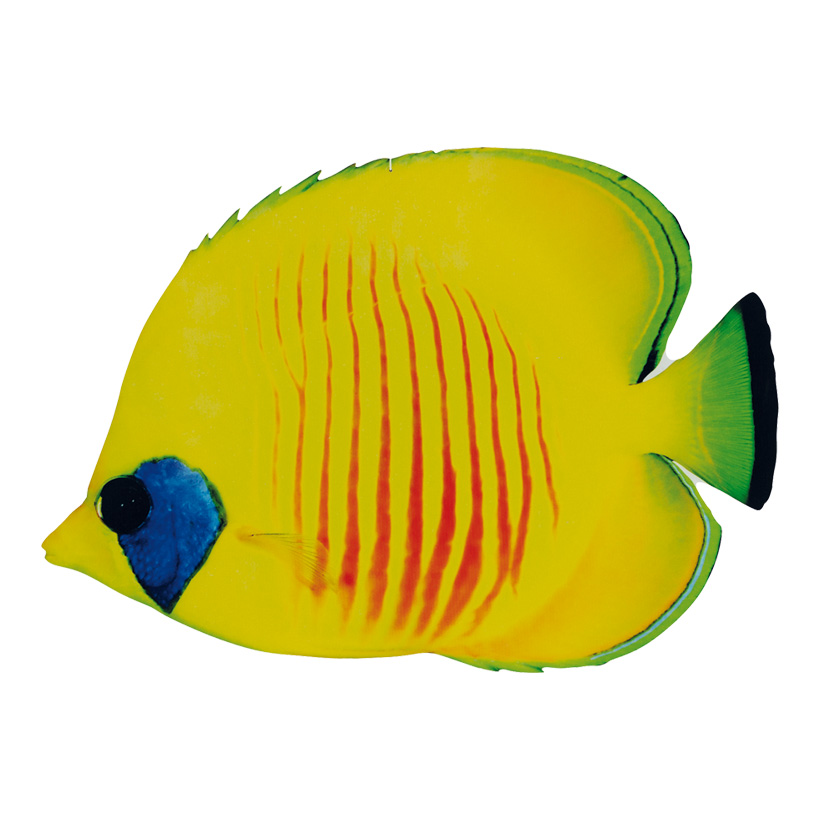 Tropisk fisk 20x12 cm