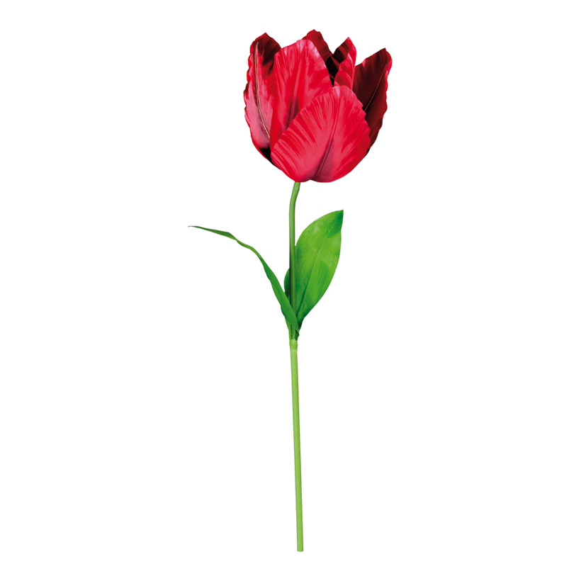 TULIP WITH STEM Ø 20CM, 1