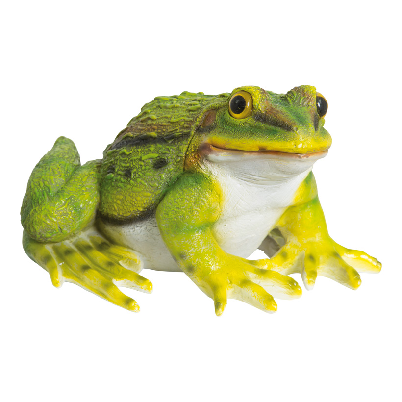 Groda 25X22X15cm