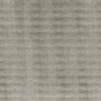 SIBU SG LEGUAN Silver AR+