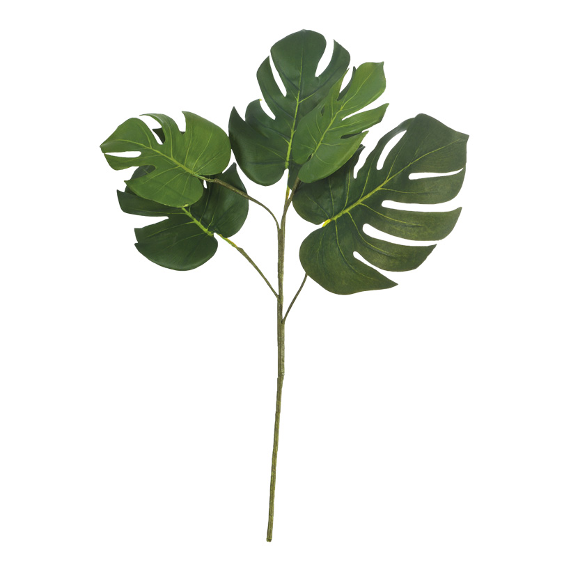 PHILODENDRON SPRAY 60CM