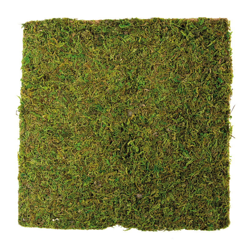 Moss Plate Natural Moss