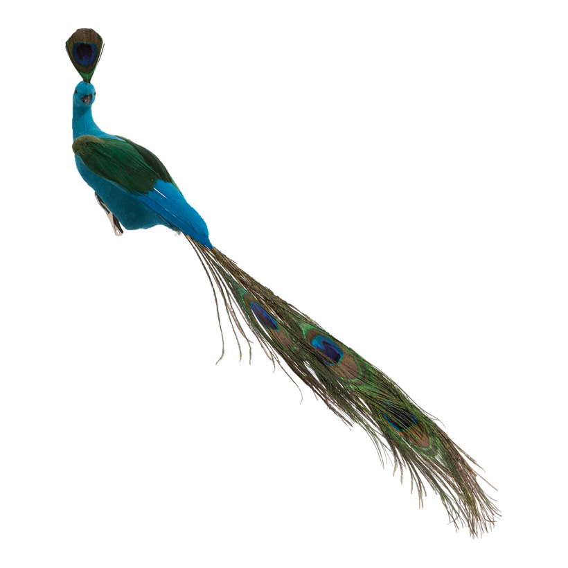 Peacock With Clip