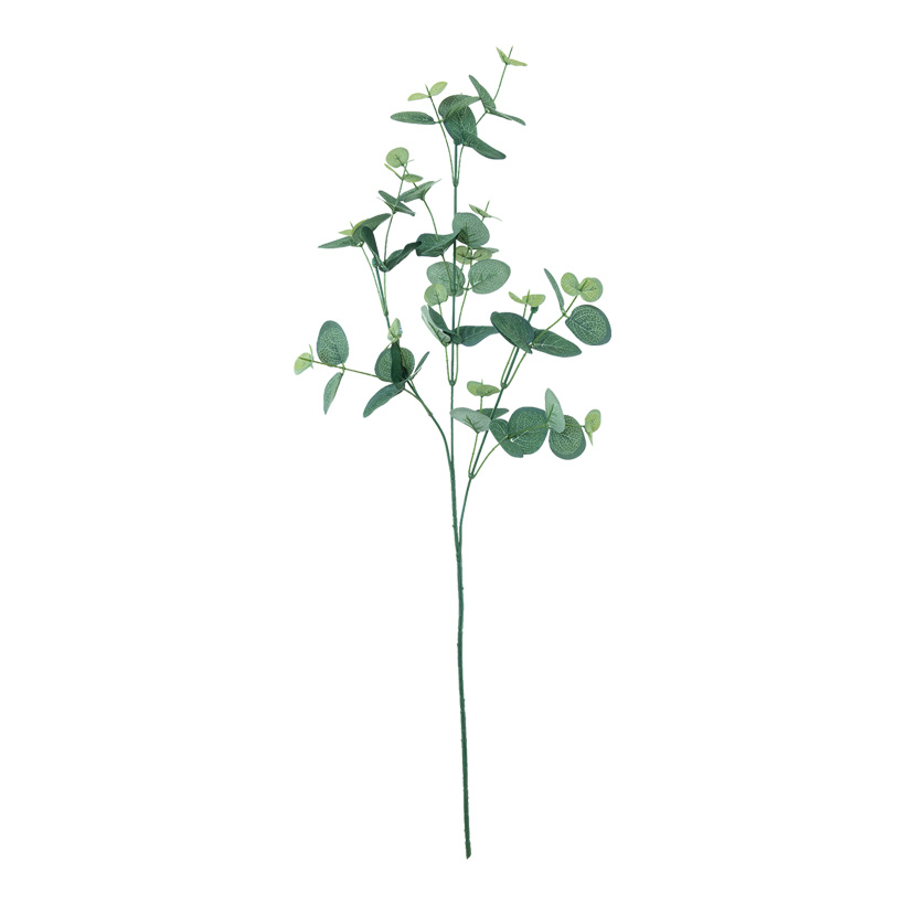 Eucalyptuskvist 76cm