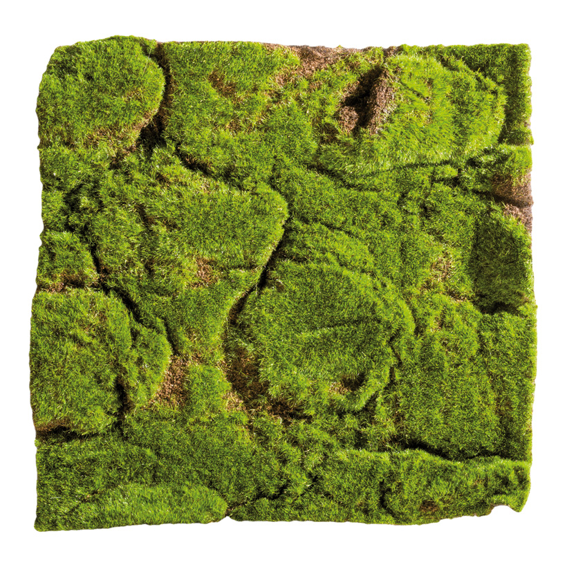 Moss 30x30cm