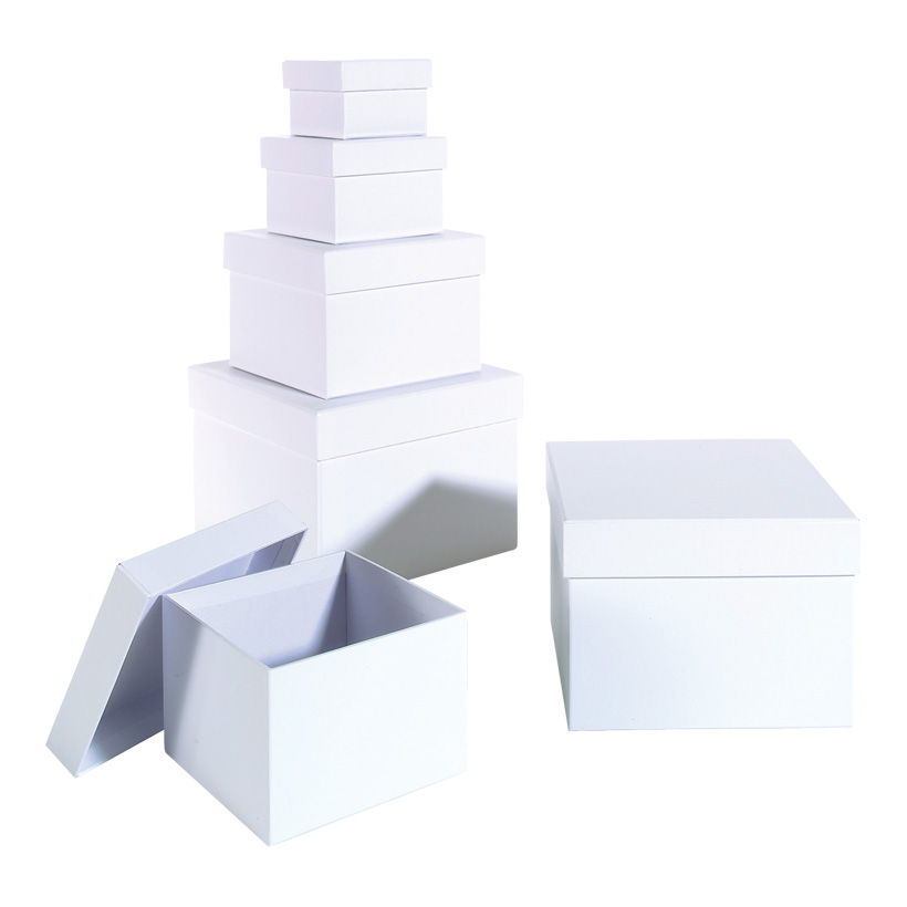 Presentboxar 6st Vit