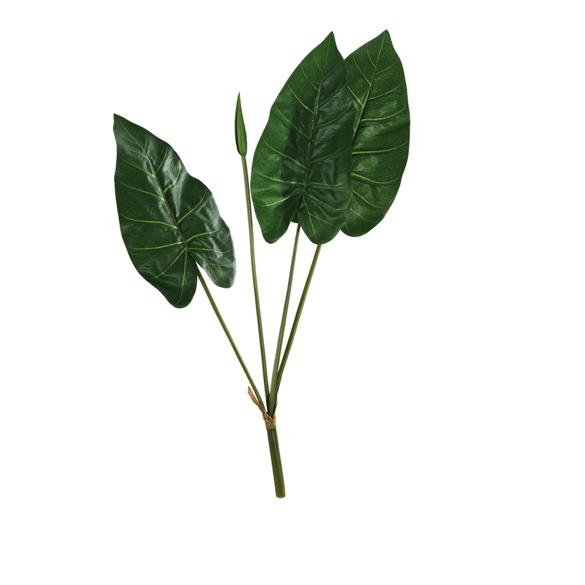 CALLA-LILY LEAVES 76CM