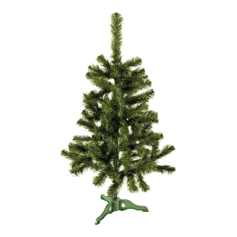 Noble Fir With Stand