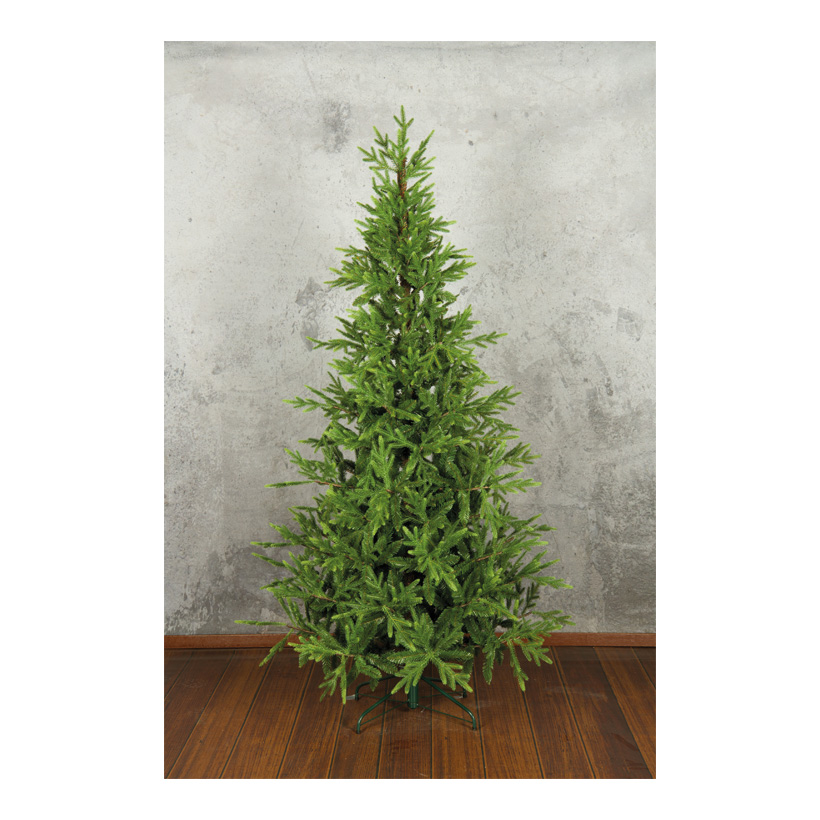 Noble Fir Without LEDs 210 cm