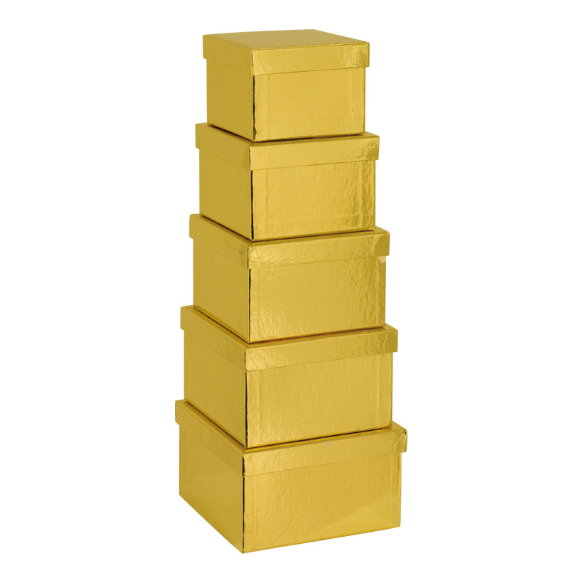Boxar 5st Guld