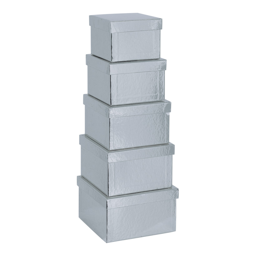 Boxar 5st Silver