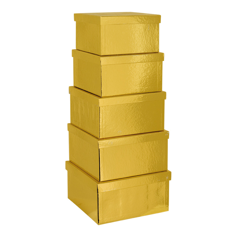 Boxar 5st Guld
