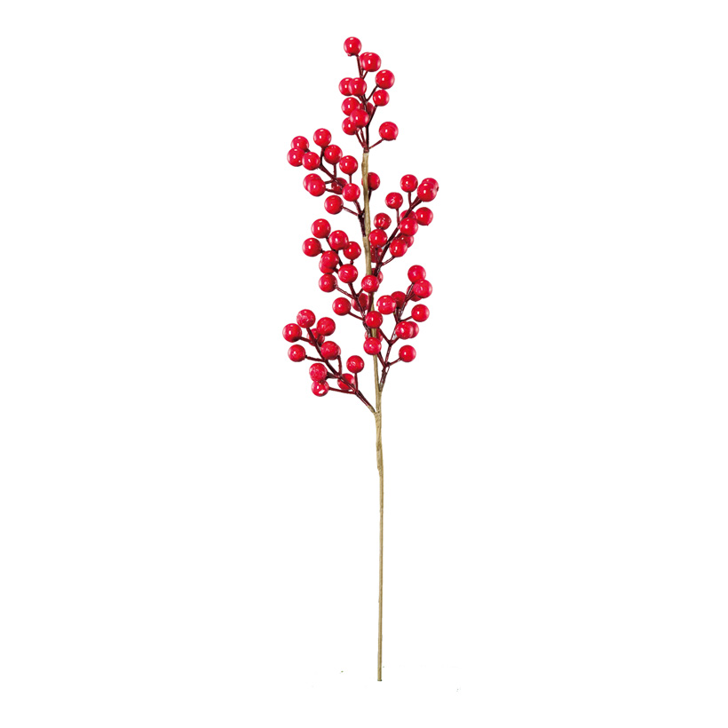 Bärkvist