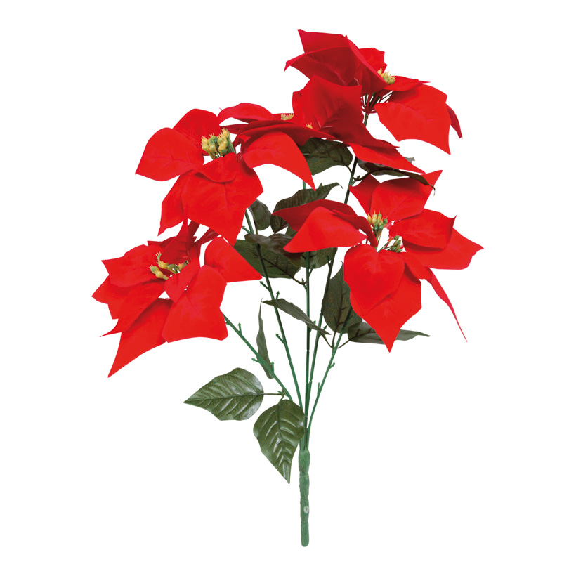 Julstjärna kvist 50cm