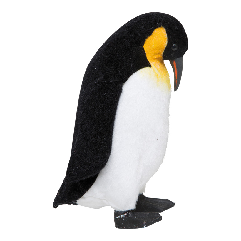 Penguin Head Down
