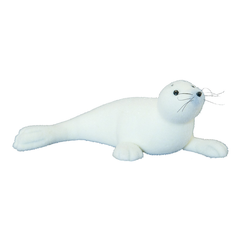 Säl