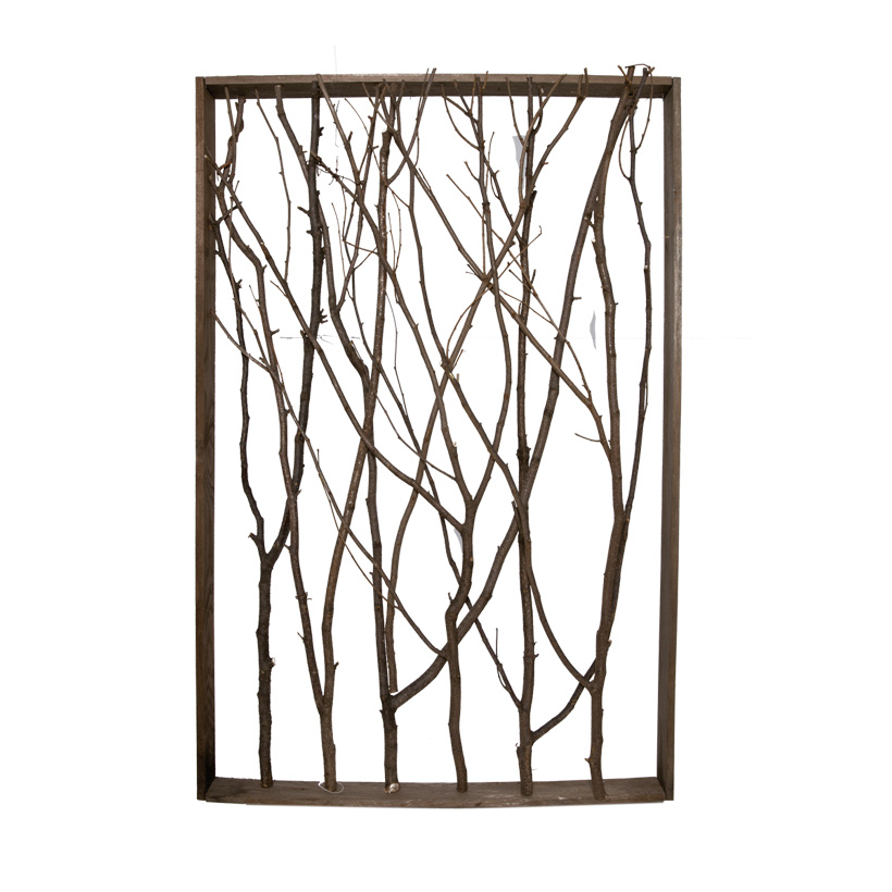 Frame with branches 57x87cm