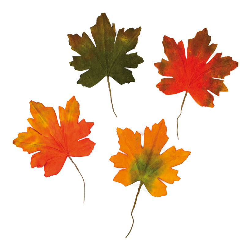 Maple Leaves Set Of 4, In
