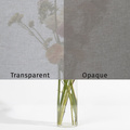 SQUID Oak transparent
