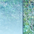 3M™ Fasara™ Diamond SH2FGDM