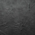 SIBU SL LOTUS CLASSY Black