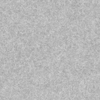 3M™ Fasara™ Shigure SH2PTSG